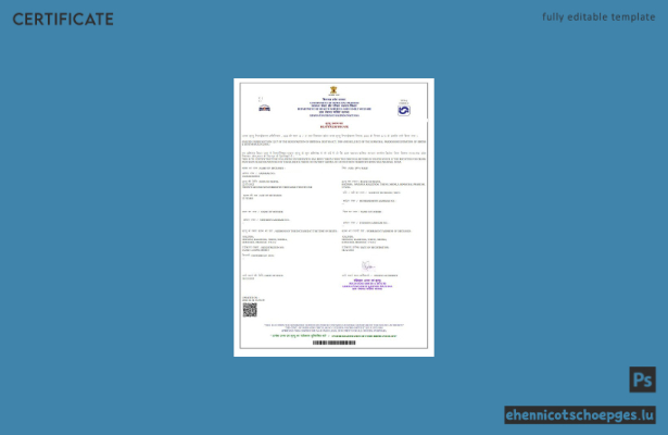 Beispiel einer Sterbeurkunde der Regierung von Himachal Pradesh, Indien